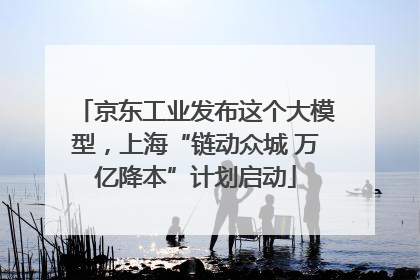 京东工业发布这个大模型，上海“链动众城 万亿降本”计划启动