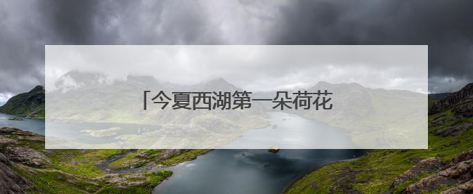 今夏西湖第一朵荷花开啦，比去年早5天