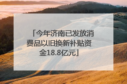 今年济南已发放消费品以旧换新补贴资金18.8亿元