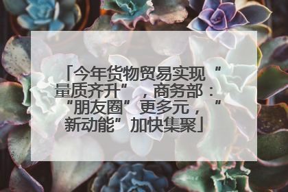 今年货物贸易实现“量质齐升”，商务部：“朋友圈”更多元，“新动能”加快集聚