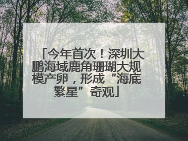 今年首次！深圳大鹏海域鹿角珊瑚大规模产卵，形成“海底繁星”奇观
