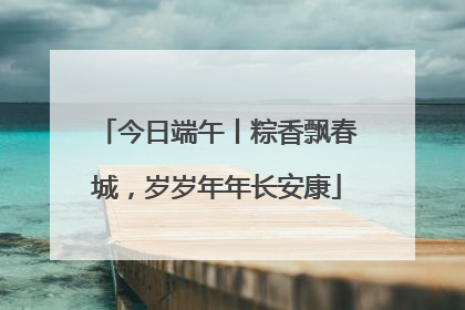 今日端午丨粽香飘春城，岁岁年年长安康