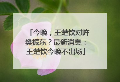 今晚，王楚钦对阵樊振东？最新消息：王楚钦今晚不出场