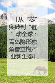 从“芯”突破到“链”动全球：青岛隐形独角兽重构产业新生态
