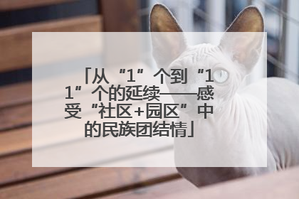 从“1”个到“11”个的延续——感受“社区+园区”中的民族团结情