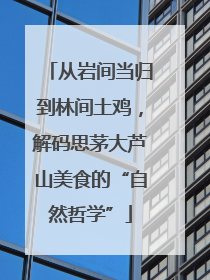 从岩间当归到林间土鸡，解码思茅大芦山美食的“自然哲学”