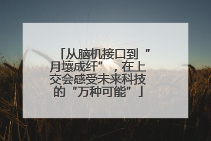 从脑机接口到“月壤成纤”，在上交会感受未来科技的“万种可能”