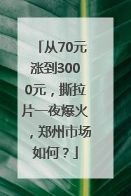从70元涨到3000元，撕拉片一夜爆火，郑州市场如何？