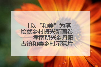 以“和美”为笔 绘就乡村振兴新画卷——孝南朋兴乡丹阳古镇和美乡村示范片区建设综述