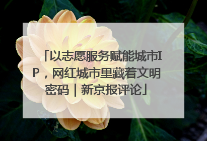 以志愿服务赋能城市IP，网红城市里藏着文明密码｜新京报评论