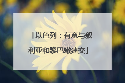 以色列：有意与叙利亚和黎巴嫩建交
