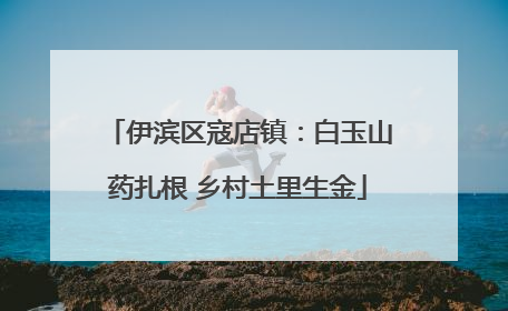 伊滨区寇店镇：白玉山药扎根 乡村土里生金