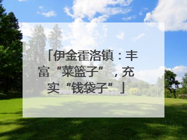 伊金霍洛镇：丰富“菜篮子”，充实“钱袋子”