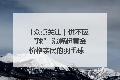 众点关注｜供不应“球” 涨幅超黄金 价格亲民的羽毛球为何身价飞涨？