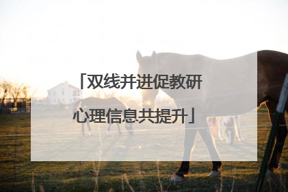 双线并进促教研 心理信息共提升