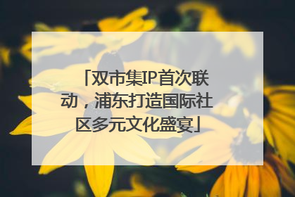 双市集IP首次联动，浦东打造国际社区多元文化盛宴