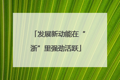 发展新动能在“浙”里强劲活跃