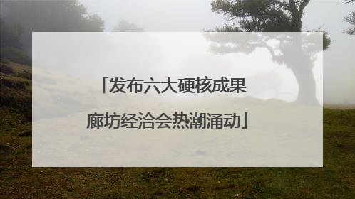 发布六大硬核成果 廊坊经洽会热潮涌动