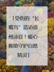 受伤的“长嘴鸟”造访徐州沛县！暖心救助守护自然精灵