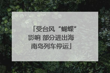 受台风“蝴蝶”影响 部分进出海南岛列车停运