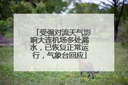 受强对流天气影响大连机场多处漏水，已恢复正常运行，气象台回应