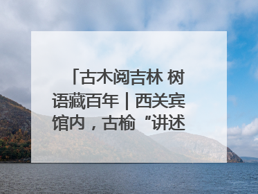 古木阅吉林 树语藏百年｜西关宾馆内，古榆“讲述”时光絮语
