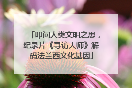 叩问人类文明之思，纪录片《寻访大师》解码法兰西文化基因