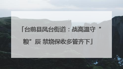 台前县凤台街道：战高温守“粮”辰 禁烧保收多管齐下