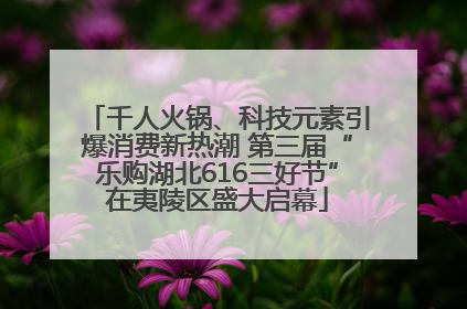 千人火锅、科技元素引爆消费新热潮 第三届“乐购湖北616三好节”在夷陵区盛大启幕