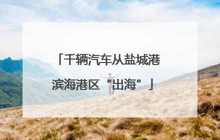 千辆汽车从盐城港滨海港区“出海”