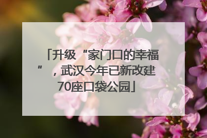 升级“家门口的幸福”，武汉今年已新改建70座口袋公园