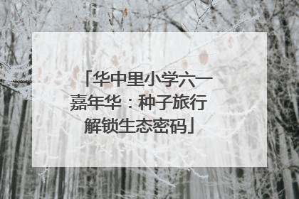 华中里小学六一嘉年华：种子旅行解锁生态密码