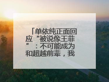 单依纯正面回应“被说像王菲”：不可能成为和超越前辈，我想致敬他们