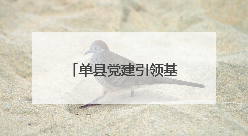 单县党建引领基层治理“谋篇布局” 绘就共建共治共享新图景