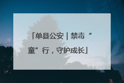 单县公安｜禁毒“童”行，守护成长