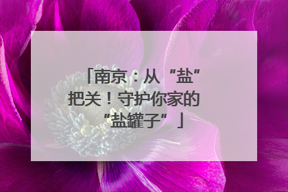 南京：从“盐”把关！守护你家的“盐罐子”