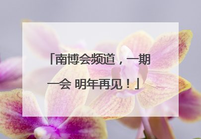 南博会频道，一期一会 明年再见！