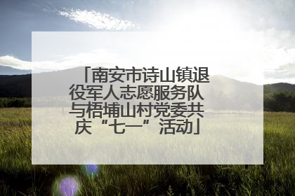 南安市诗山镇退役军人志愿服务队与梧埔山村党委共庆“七一”活动