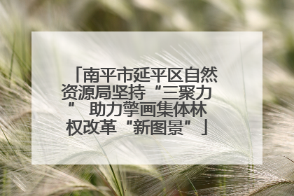 南平市延平区自然资源局坚持“三聚力” 助力擎画集体林权改革“新图景”