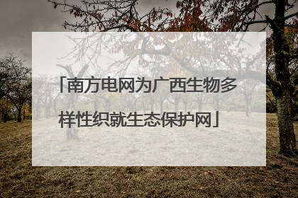 南方电网为广西生物多样性织就生态保护网