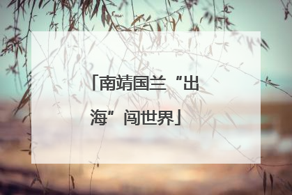 南靖国兰“出海”闯世界