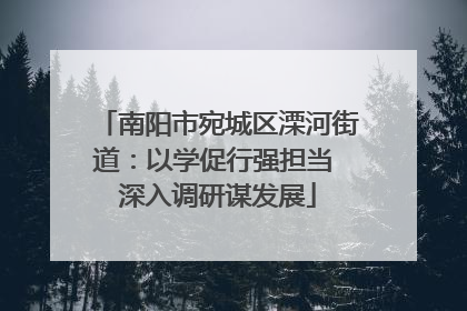 南阳市宛城区溧河街道：以学促行强担当 深入调研谋发展