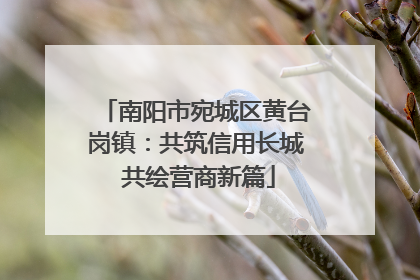 南阳市宛城区黄台岗镇：共筑信用长城 共绘营商新篇