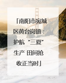 南阳市宛城区黄台岗镇：护航“三夏”生产 田间抢收正当时