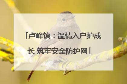 卢峰镇：温情入户护成长 筑牢安全防护网