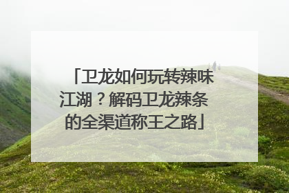 卫龙如何玩转辣味江湖？解码卫龙辣条的全渠道称王之路
