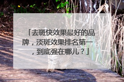 去斑快效果最好的品牌，淡斑效果排名第一，到底强在哪儿？