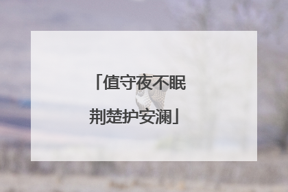 值守夜不眠 荆楚护安澜