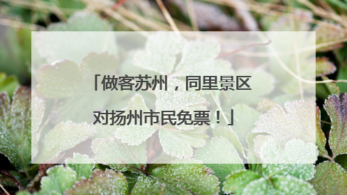 做客苏州，同里景区对扬州市民免票！