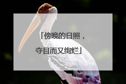 傍晚的日照，夺目而又绚烂